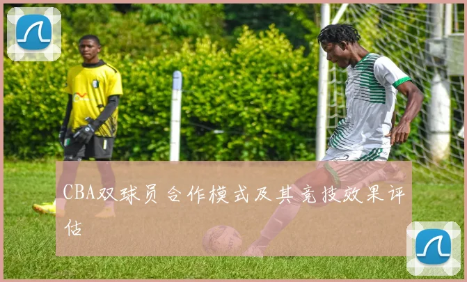 CBA双球员合作模式及其竞技效果评估