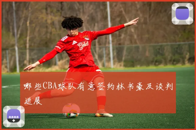 哪些CBA球队有意签约林书豪及谈判进展