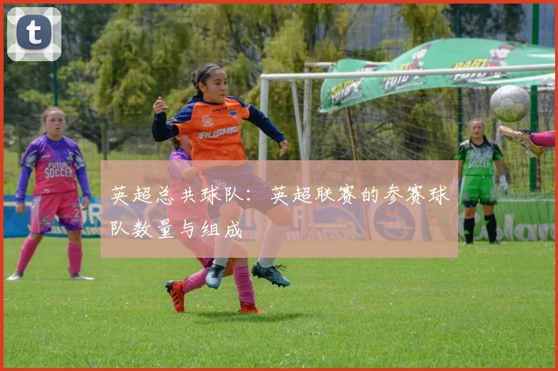 英超总共球队：英超联赛的参赛球队数量与组成