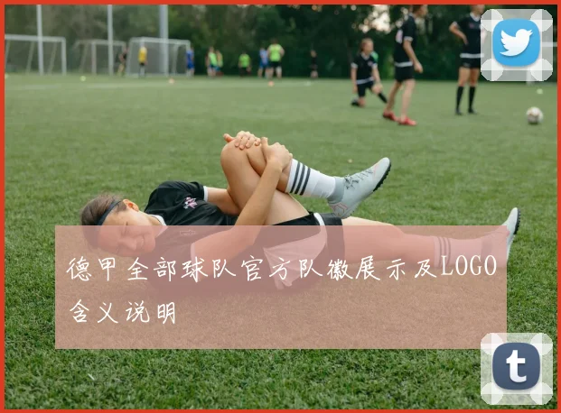 德甲全部球队官方队徽展示及LOGO含义说明